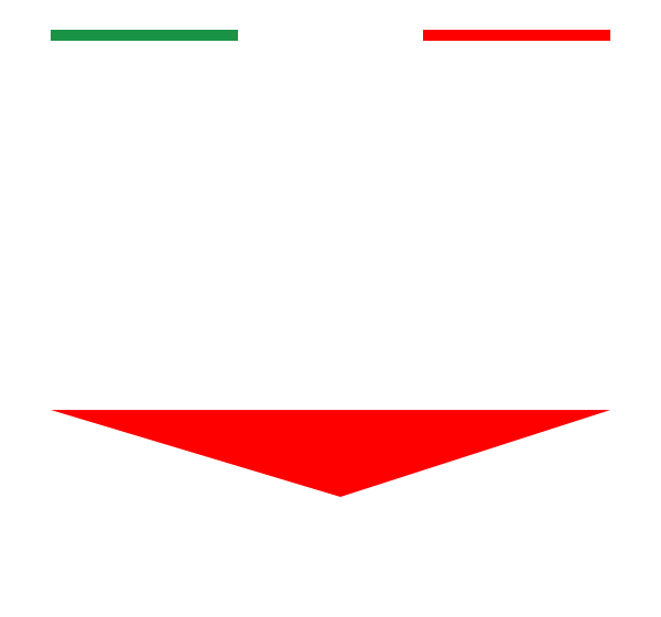 Tactical Game Team Building & Outdoor Experience